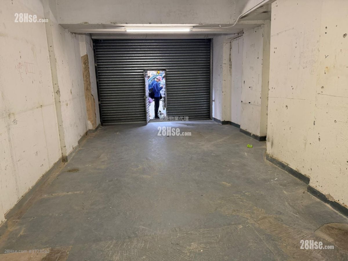 447 Reclamation Street Rental