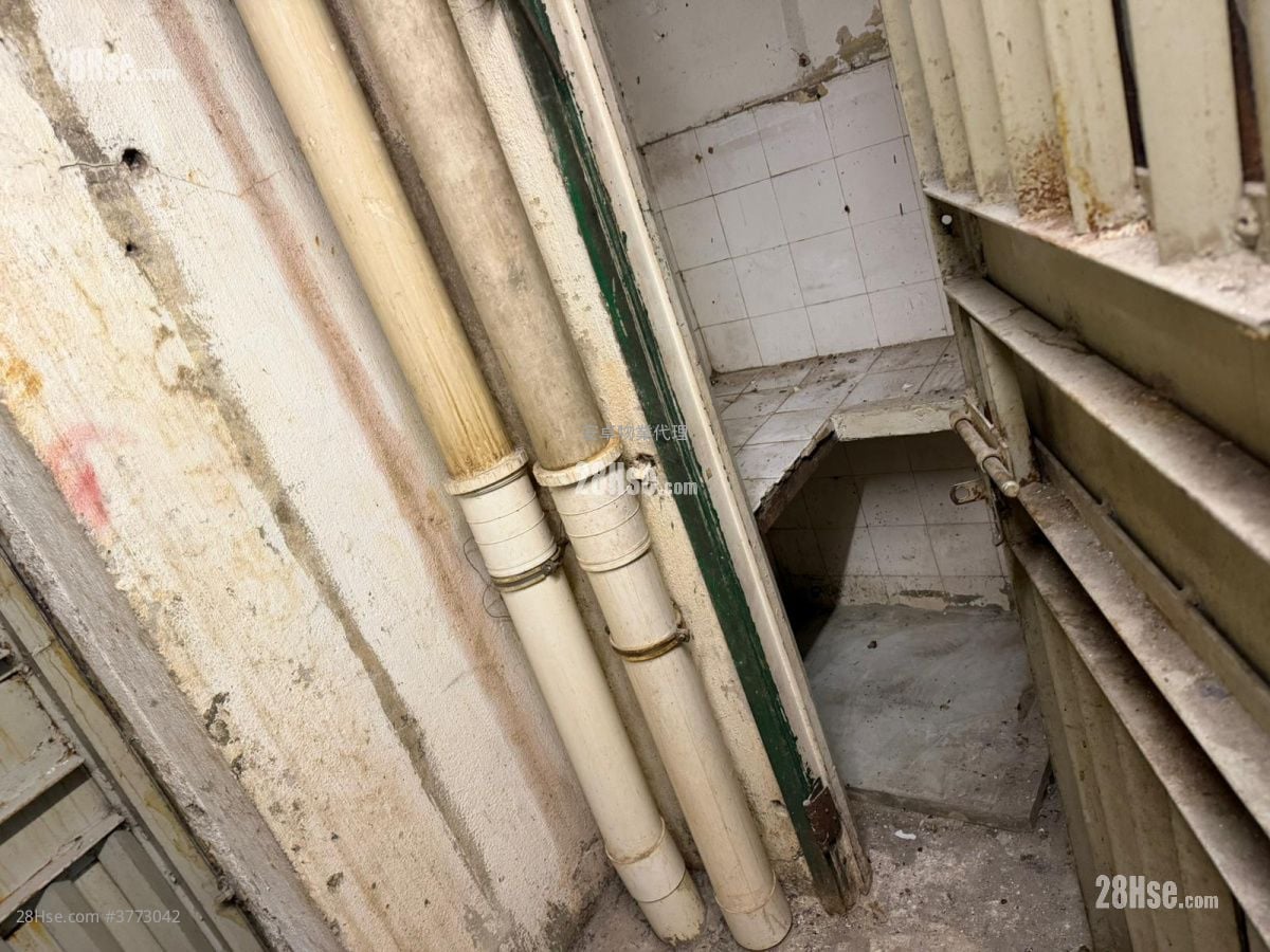 447 Reclamation Street Rental