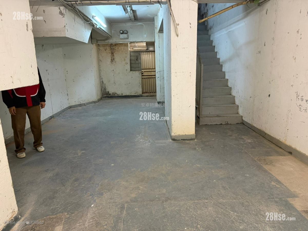 447 Reclamation Street Rental