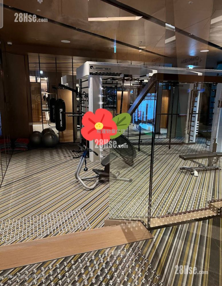 Novum West Sell Studio , 1 Bathroom 223 ft²