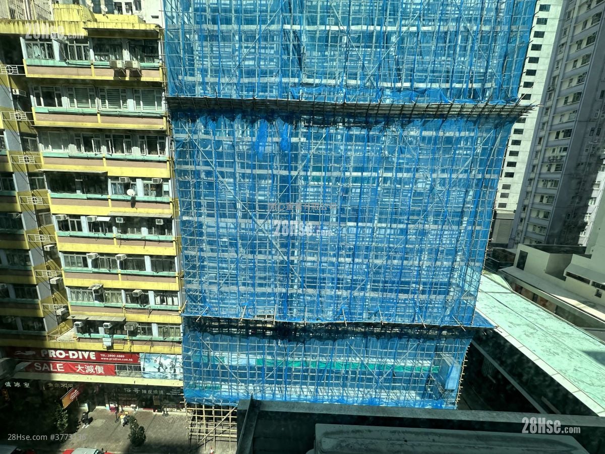 单幢楼房 租盘 开放式间隔 , 1 浴室 120 平方尺