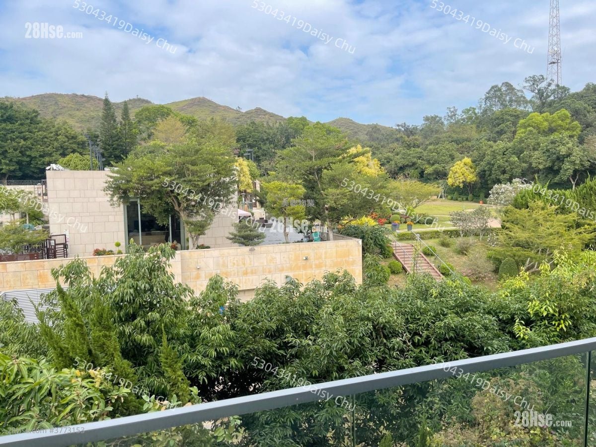 葡萄园 售盘 3 房 1,772 平方尺