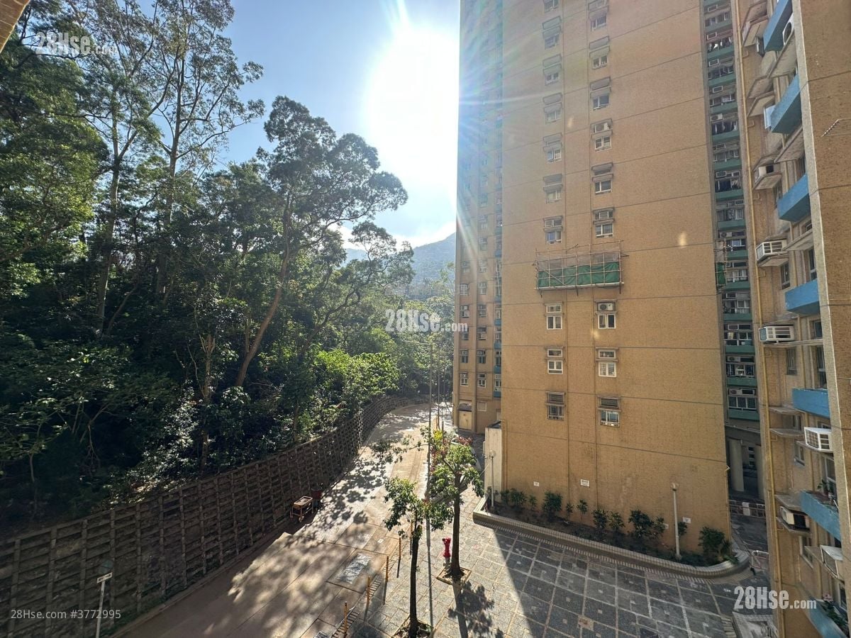 Hong Lam Court Sell 3 Bedrooms , 1 Bathroom 554 ft²