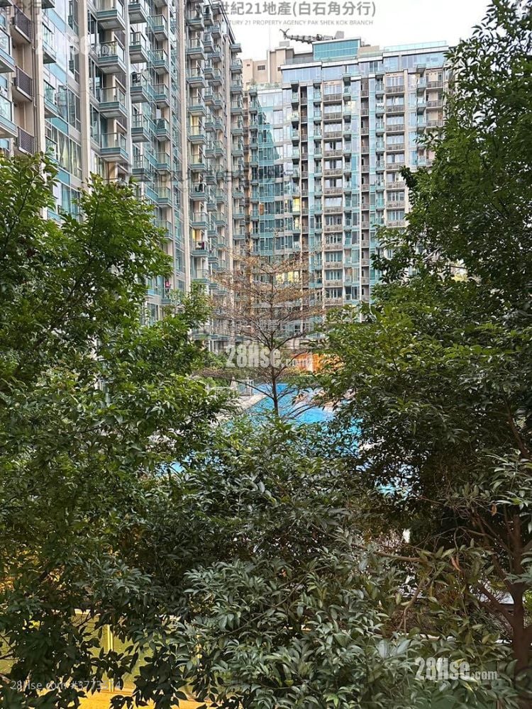 Mayfair By The Sea 8 Sell 3 Bedrooms , 2 Bathrooms 795 ft²