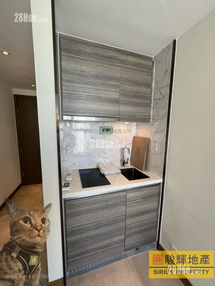 AVA61 售盤 開放式間隔 , 1 浴室 150 平方呎