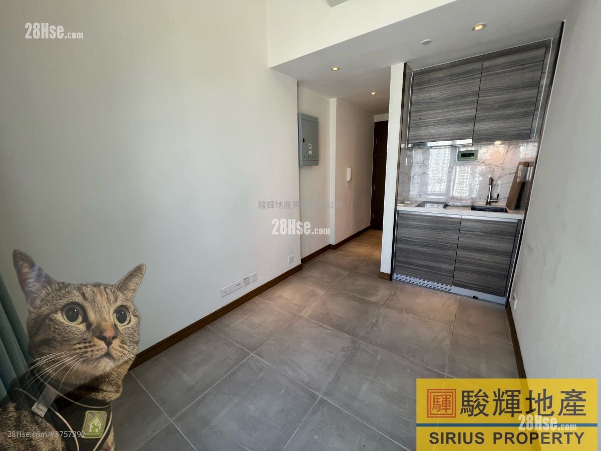 AVA61 售盤 開放式間隔 , 1 浴室 150 平方呎