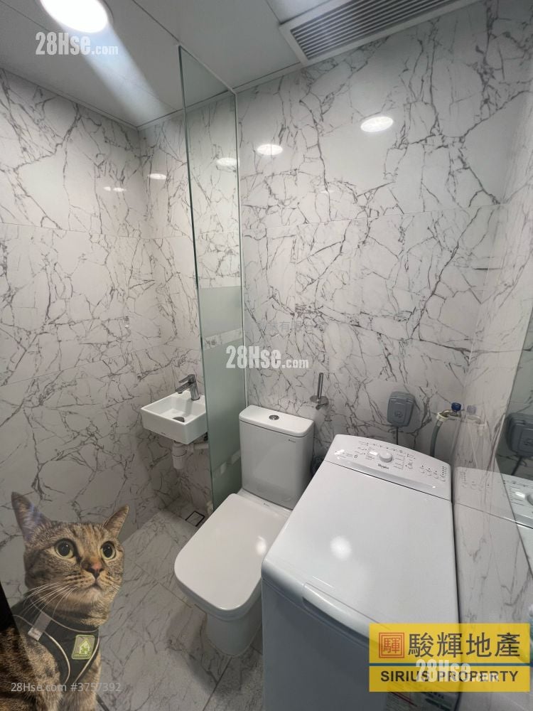 AVA61 售盤 開放式間隔 , 1 浴室 150 平方呎