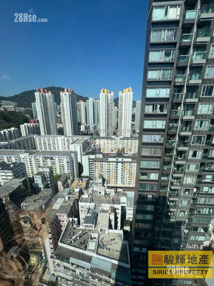 AVA61 售盤 開放式間隔 , 1 浴室 150 平方呎