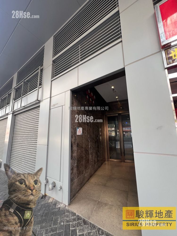 AVA61 售盤 開放式間隔 , 1 浴室 150 平方呎