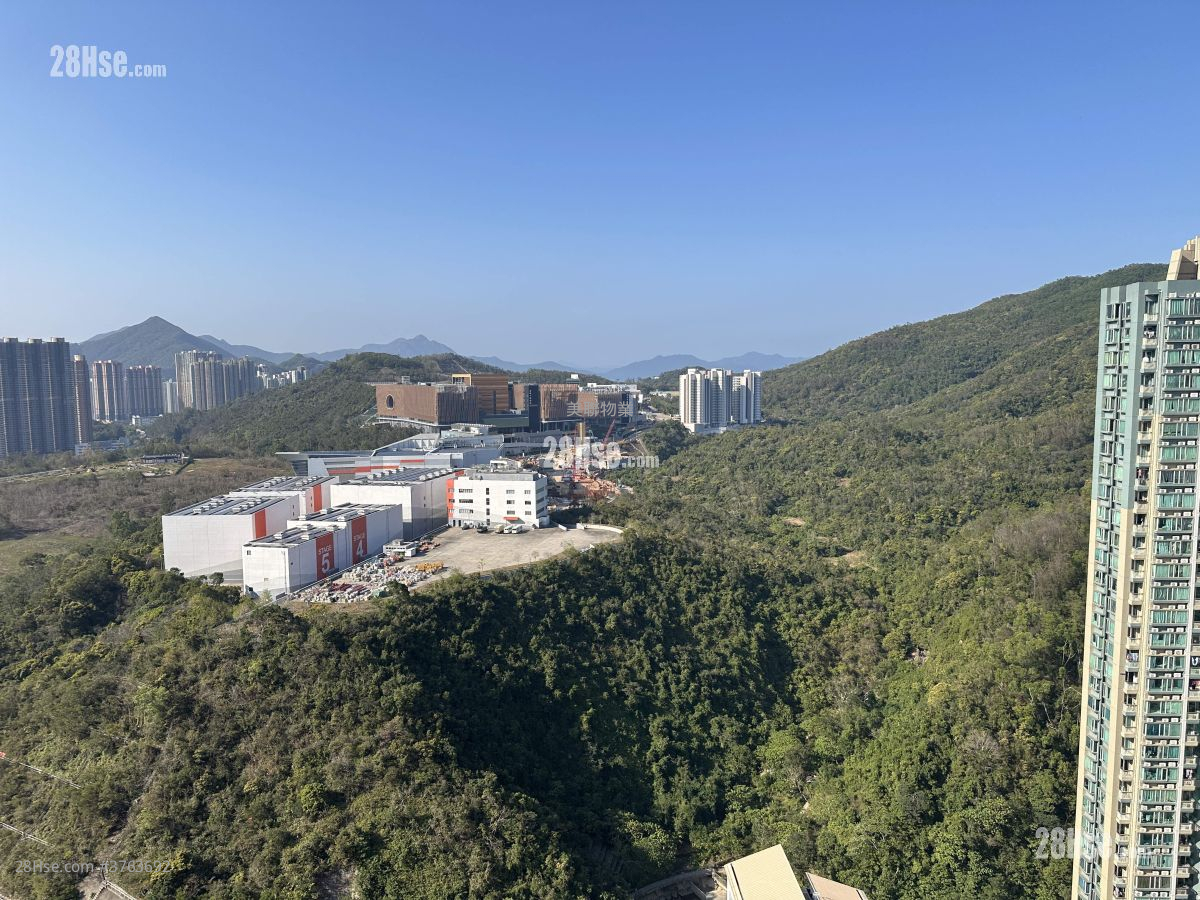 Manor Hill Sell 1 Bedroom , 1 Bathroom 280 ft²