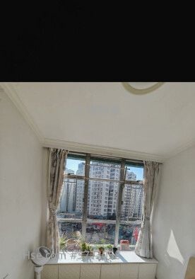 黄埔花园 售盘 2 房 508 平方尺