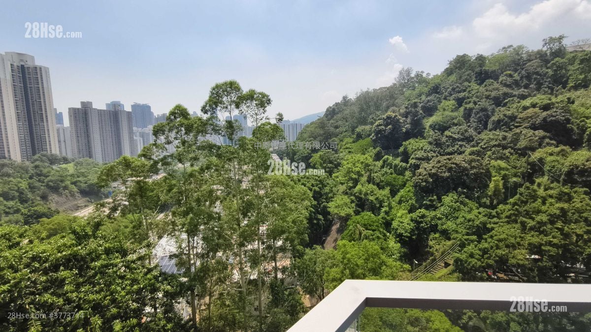 缙庭山 售盘 2 房 , 1 浴室 529 平方尺