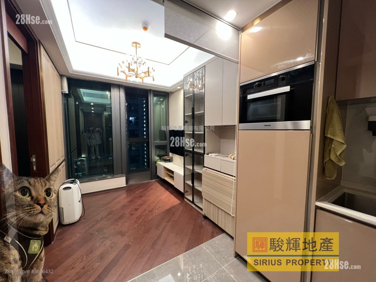 The Vertex Rental 1 Bedroom , 1 Bathroom 319 ft²