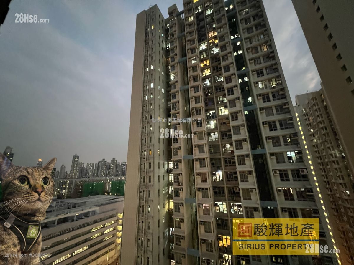 The Vertex Rental 1 Bedroom , 1 Bathroom 319 ft²