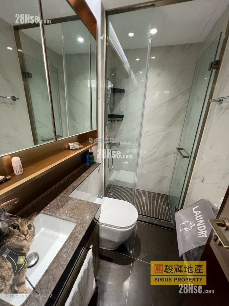 The Vertex Rental 1 Bedroom , 1 Bathroom 319 ft²