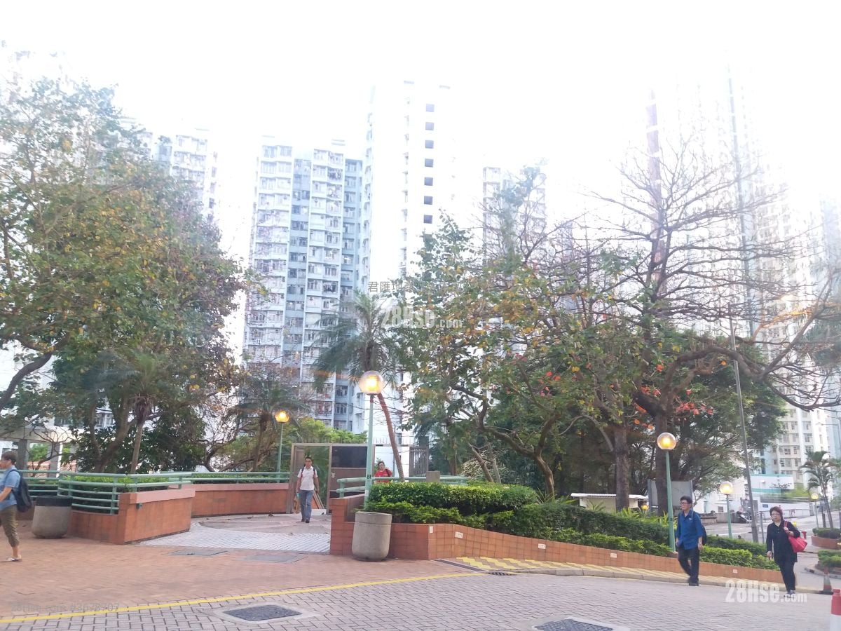 高俊苑 租盘 1 房 , 1 浴室 426 平方尺