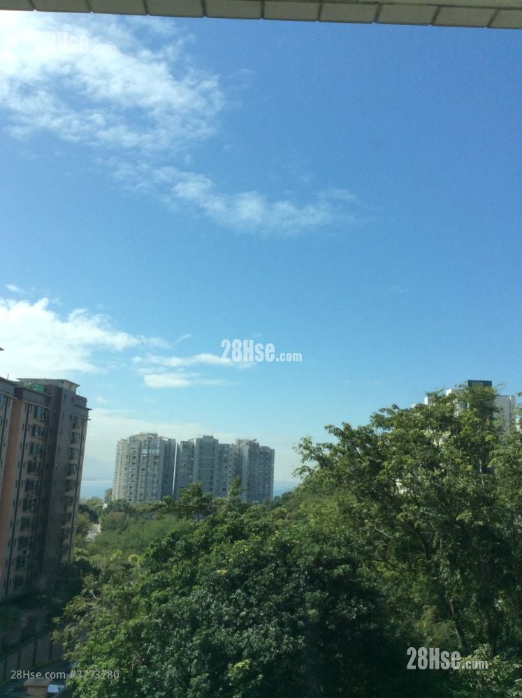 爱琴湾 租盘 2 房 , 1 浴室 481 平方尺