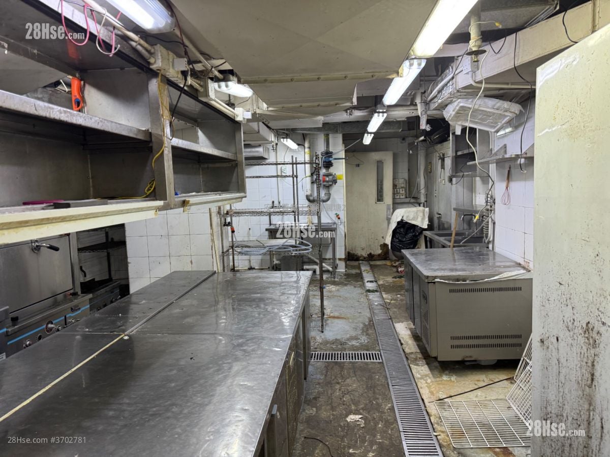 Top View Mansion Rental