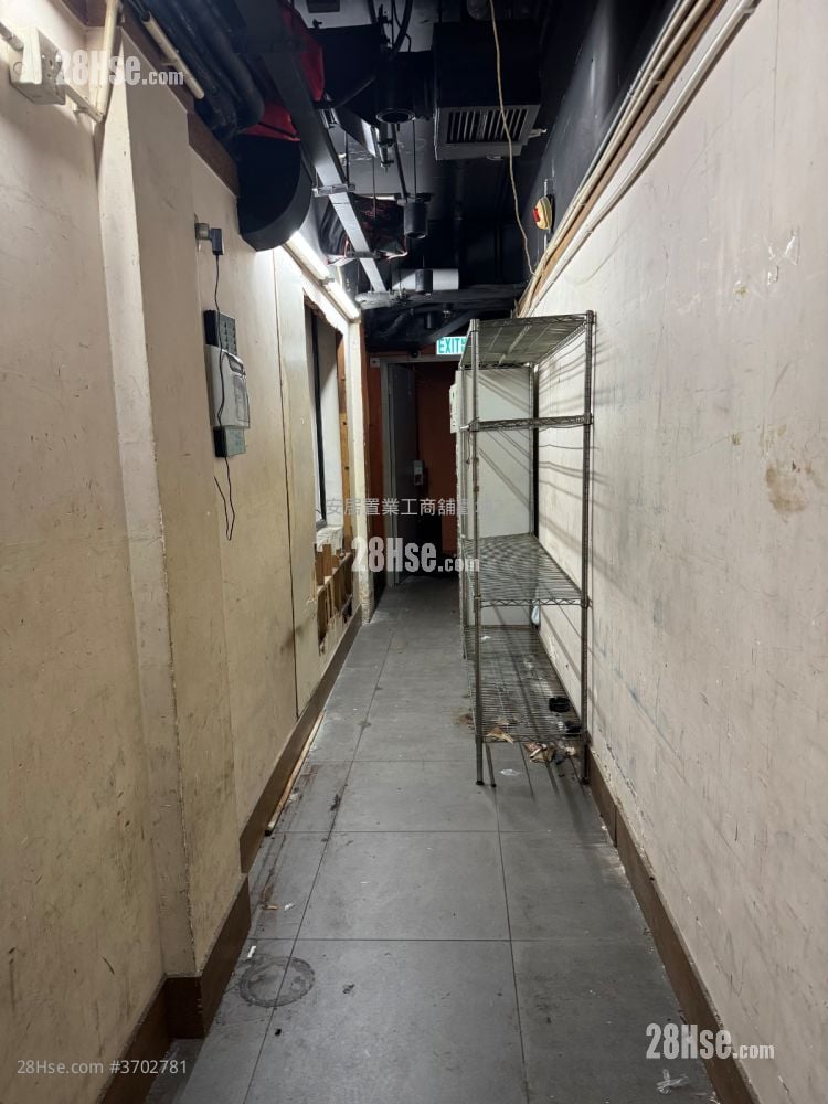 Top View Mansion Rental