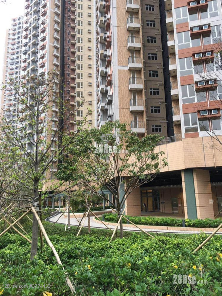 Greenhill Villa Sell 2 Bedrooms , 1 Bathroom 420 ft²