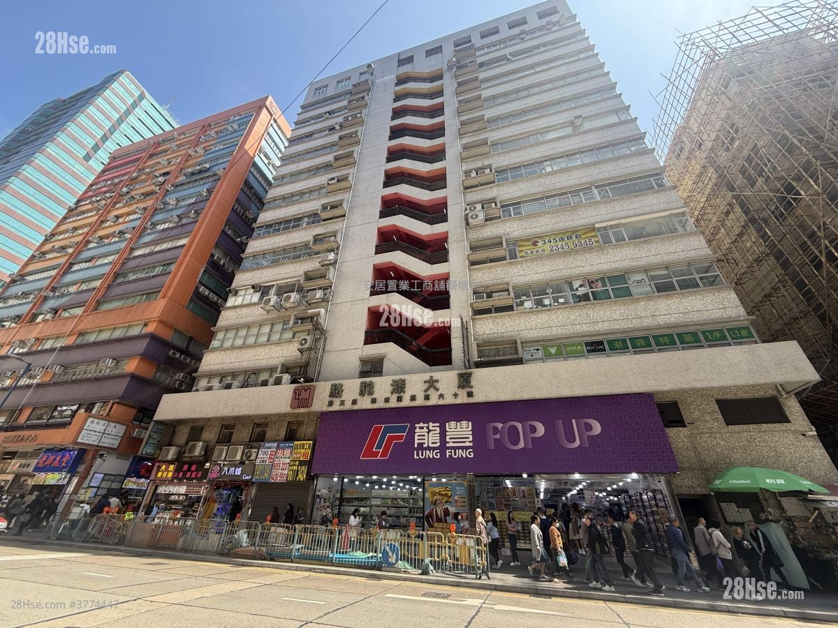 Camel Paint Building Sell