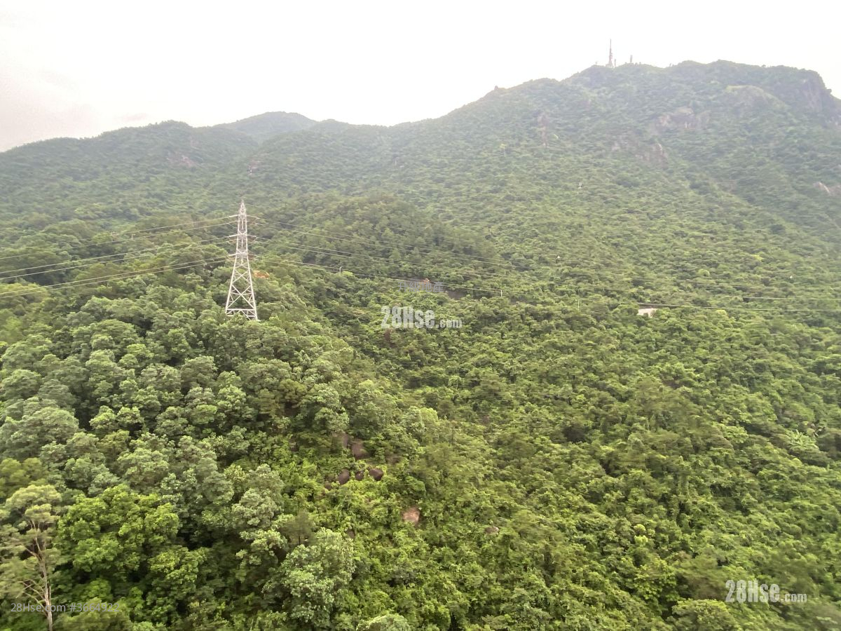 景观: 峻弦 售盘 3 房 , 2 浴室 735 平方尺