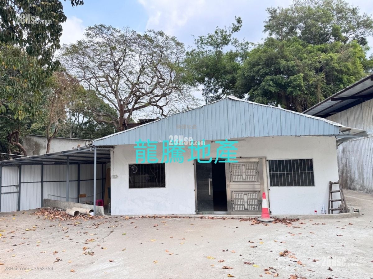 粉岭地土地 租盘