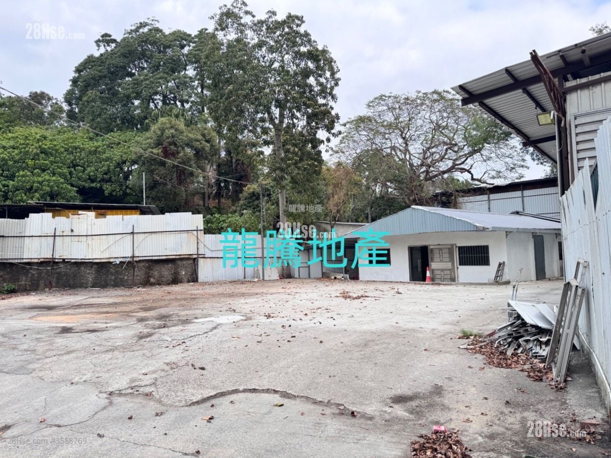 粉岭地土地 租盘