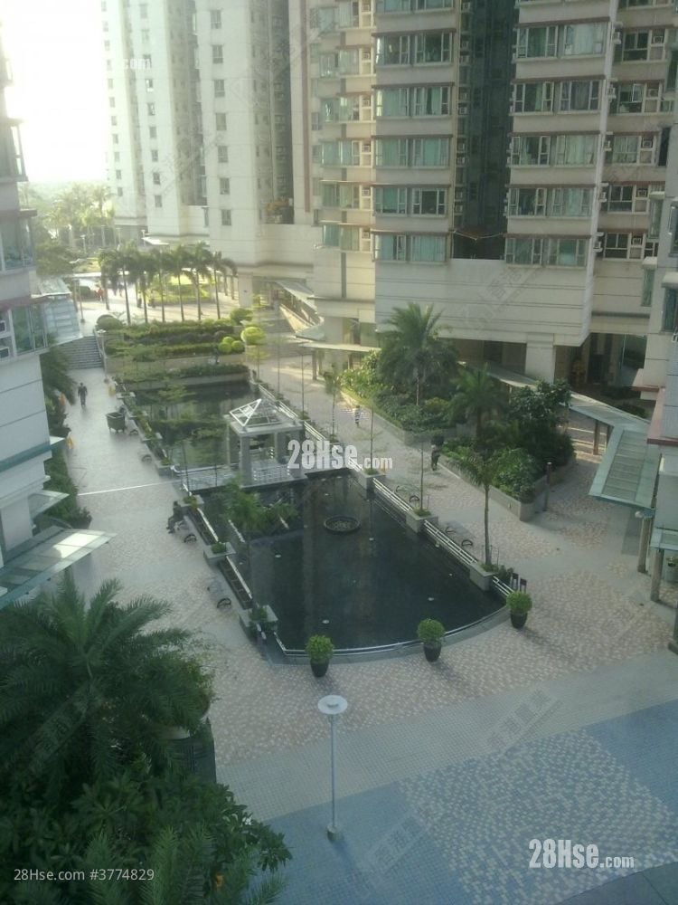 港湾豪庭 售盘 3 房 498 平方尺