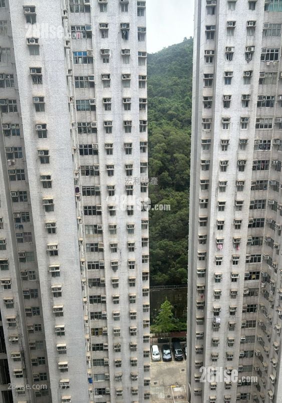 富景花园 售盘 3 房 , 1 浴室 592 平方尺