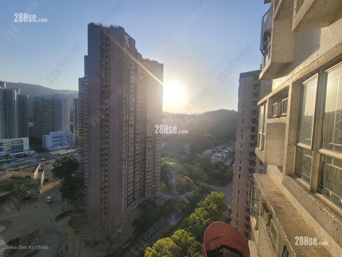 新达广场 售盘 489 平方尺