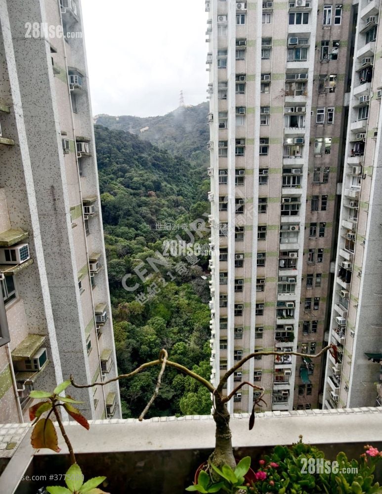 Mei Chung Court Sell 2 Bedrooms , 1 Bathroom 554 ft²