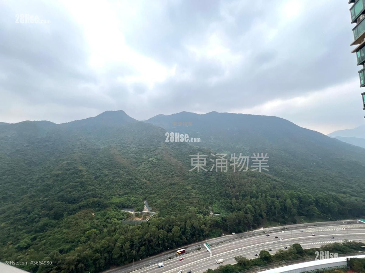 映湾园 租盘 2 房 , 1 浴室 553 平方尺