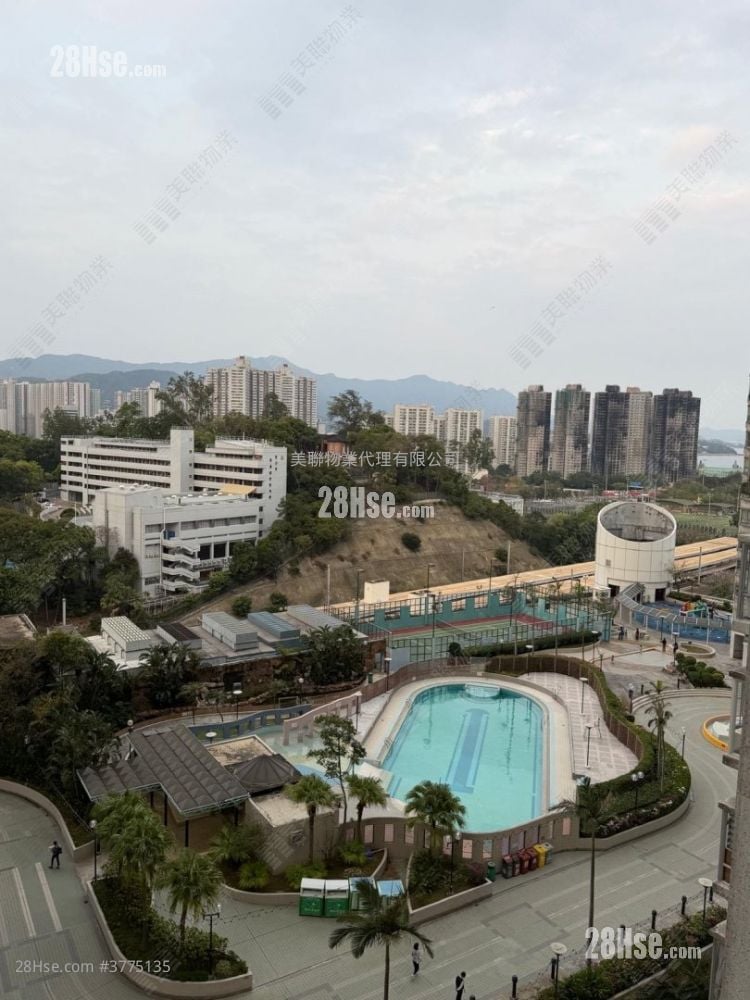 新达广场 售盘 2 房 465 平方尺