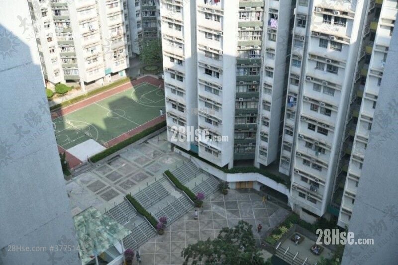 黄埔花园 售盘 1 房 288 平方尺