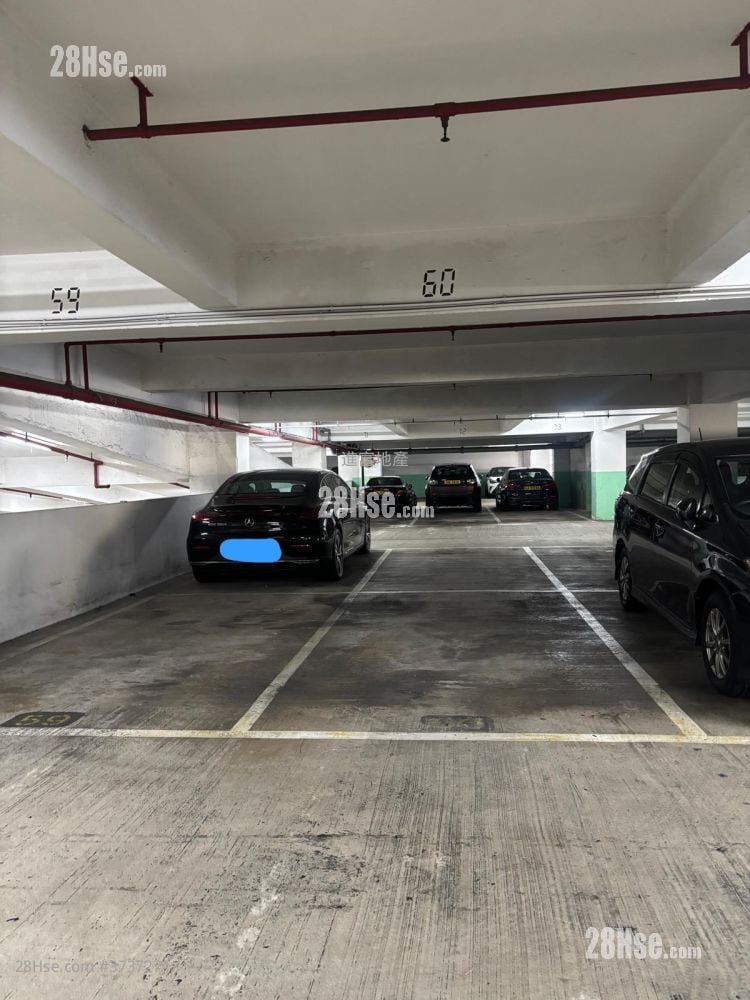 City One Shatin Rental