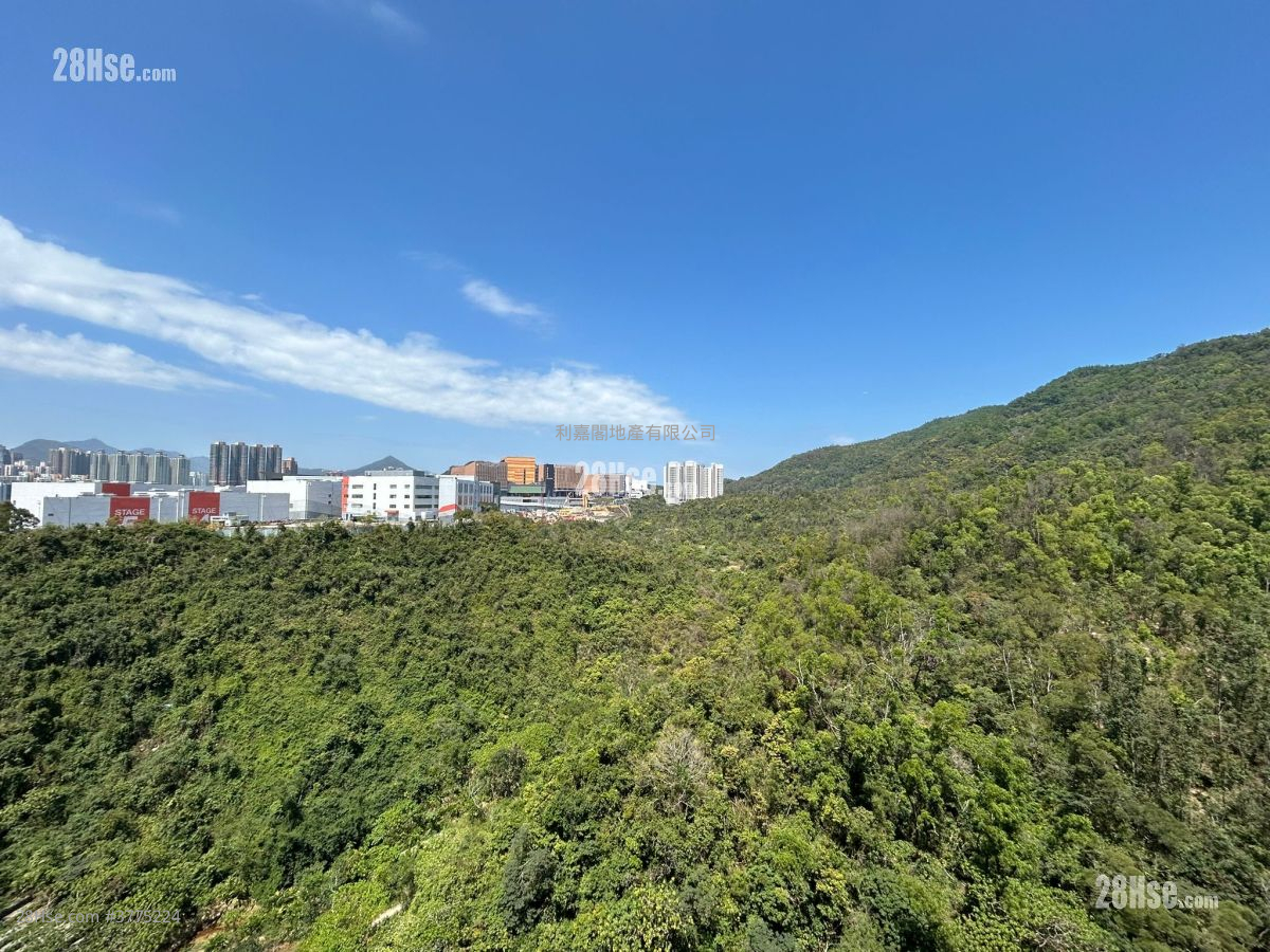 The Beaumount Sell 2 Bedrooms 499 ft²