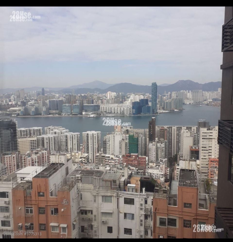 珊瑚阁 售盘 877 平方尺