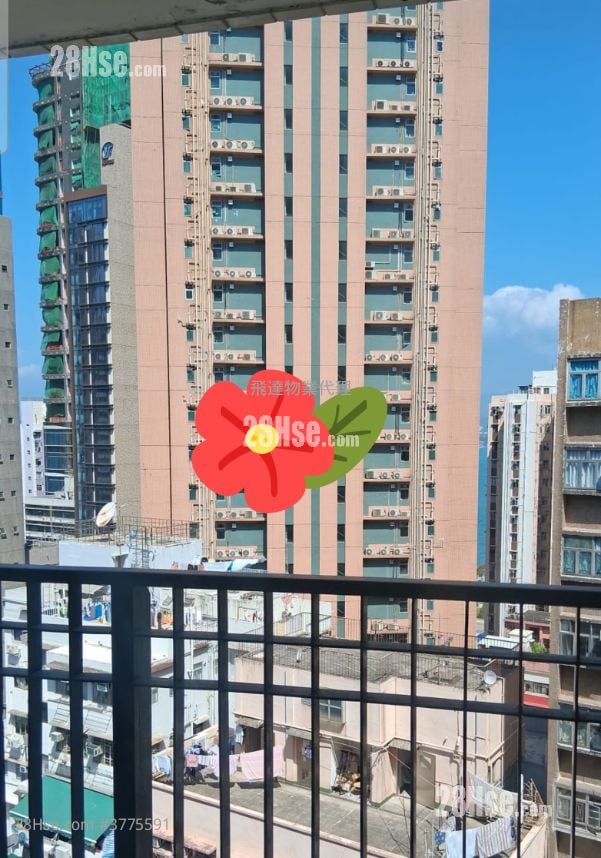 Urbana 38 Sell Studio , 1 Bathroom 220 ft²