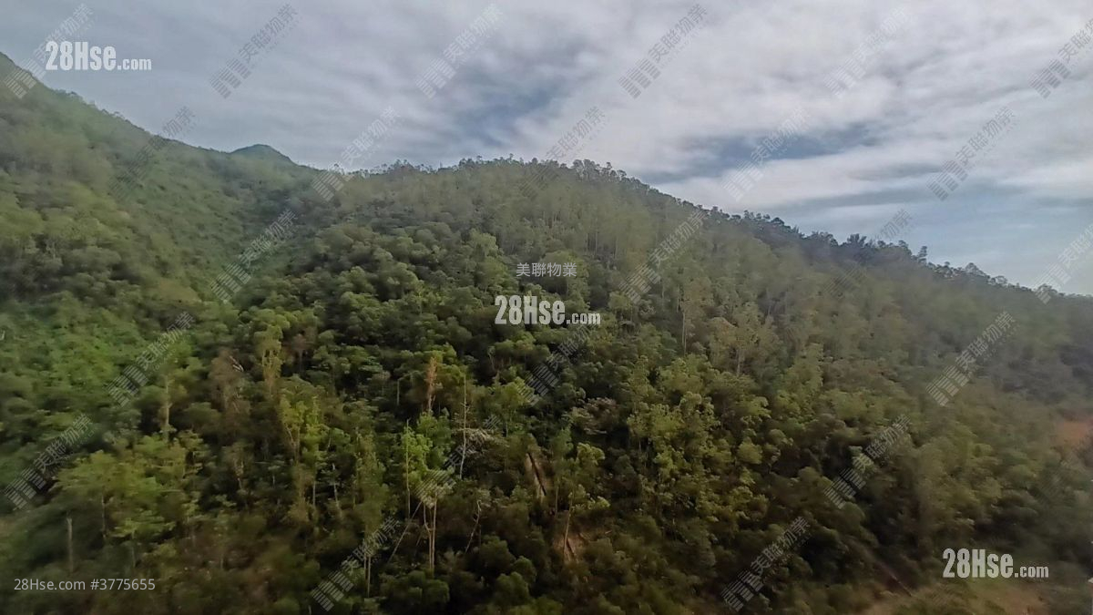 峻滢 售盘 3 房 694 平方尺