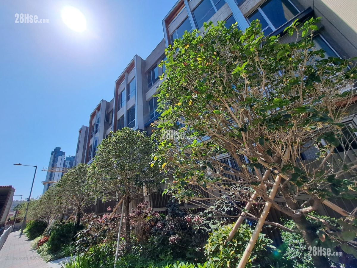 The Coast Line Rental 2 Bedrooms , 1 Bathroom 503 ft²