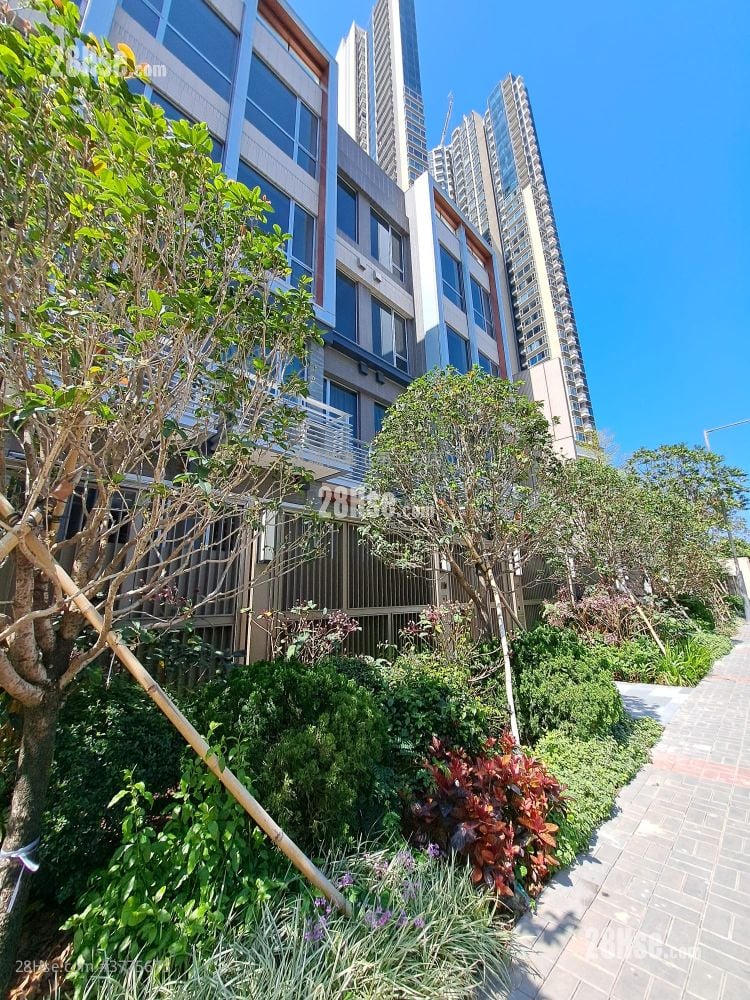 The Coast Line Rental 2 Bedrooms , 1 Bathroom 503 ft²