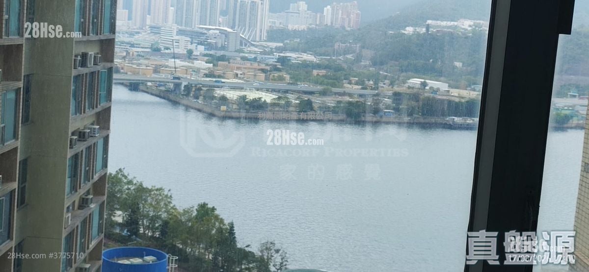 Mountain Shore Sell 2 Bedrooms 501 ft²