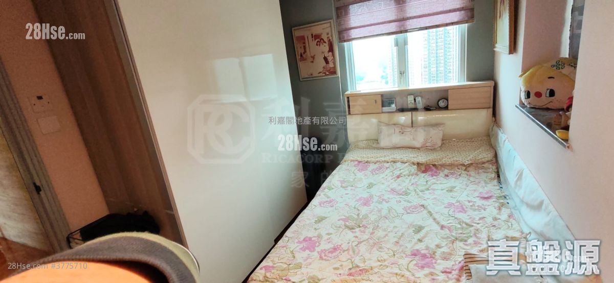 Mountain Shore Sell 2 Bedrooms 501 ft²