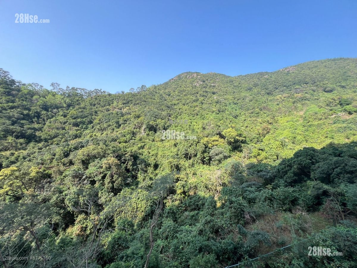 Castello Sell 2 Bedrooms , 1 Bathroom 547 ft²