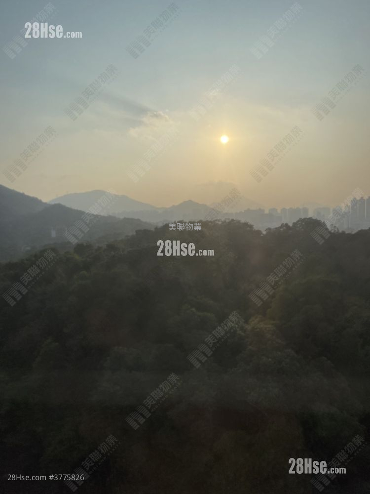 Shan Lai Court Sell 385 ft²