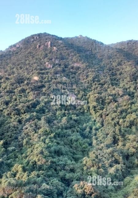 帝堡城 租盘 2 房 , 1 浴室 547 平方尺