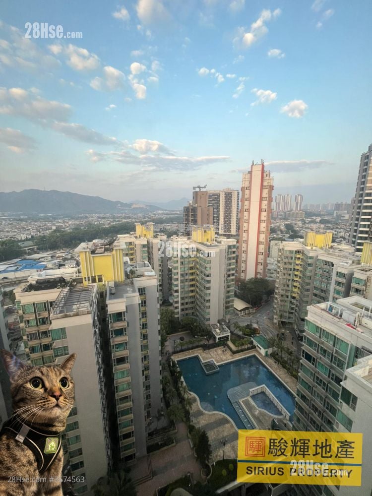 蝶翠峰 售盘 2 房 , 1 浴室 365 平方尺