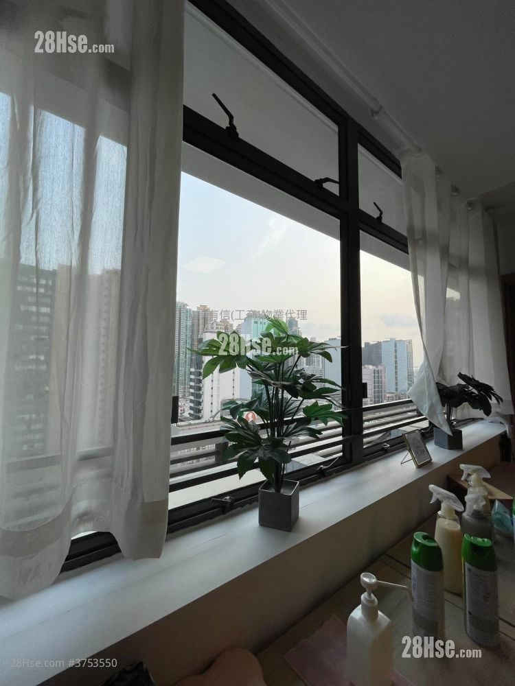 The Globe Rental 1 Toilet