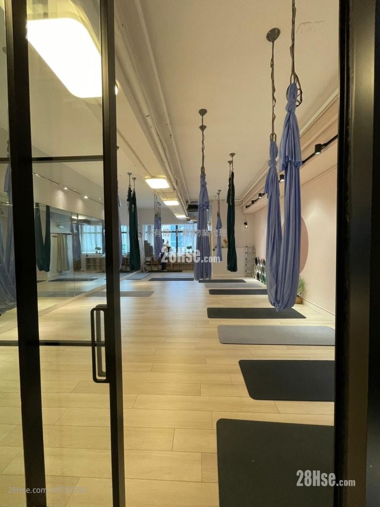 The Globe Rental 1 Toilet